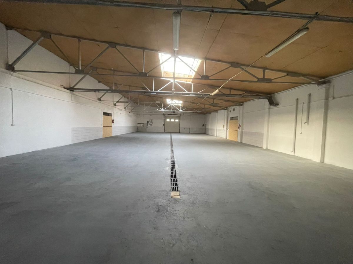 Komercyjny na wynajem