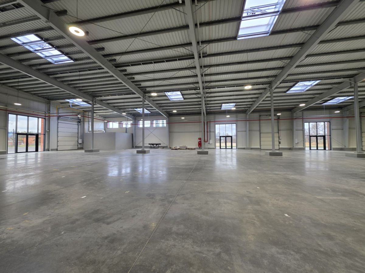 Komercyjny na wynajem