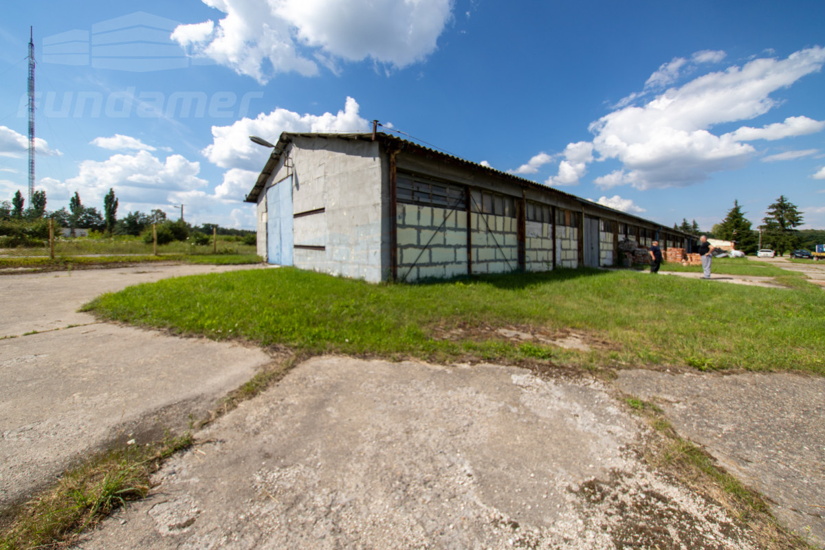 Komercyjny na wynajem