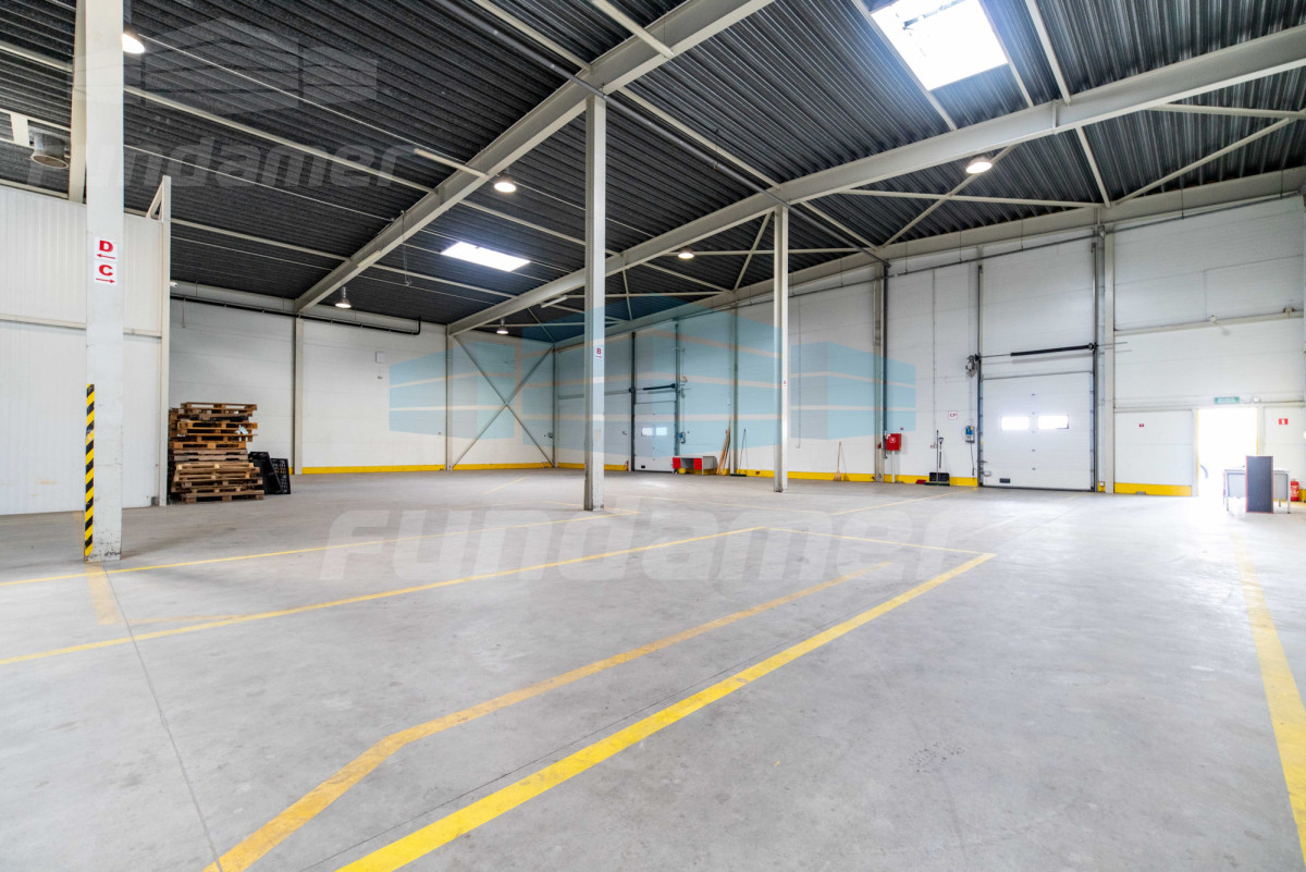 Komercyjny na wynajem