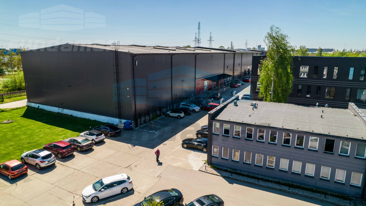 Komercyjny na wynajem