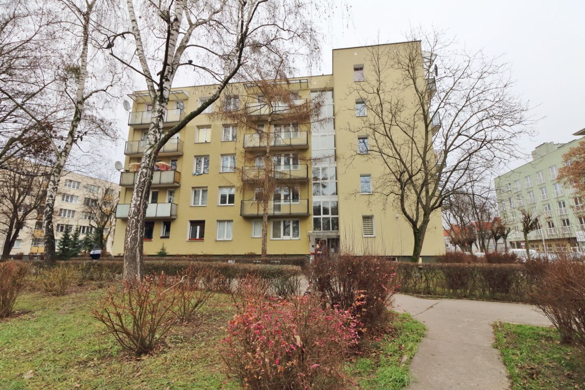 Mieszkanie na wynajem