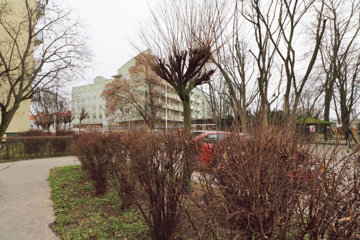 Mieszkanie na wynajem
