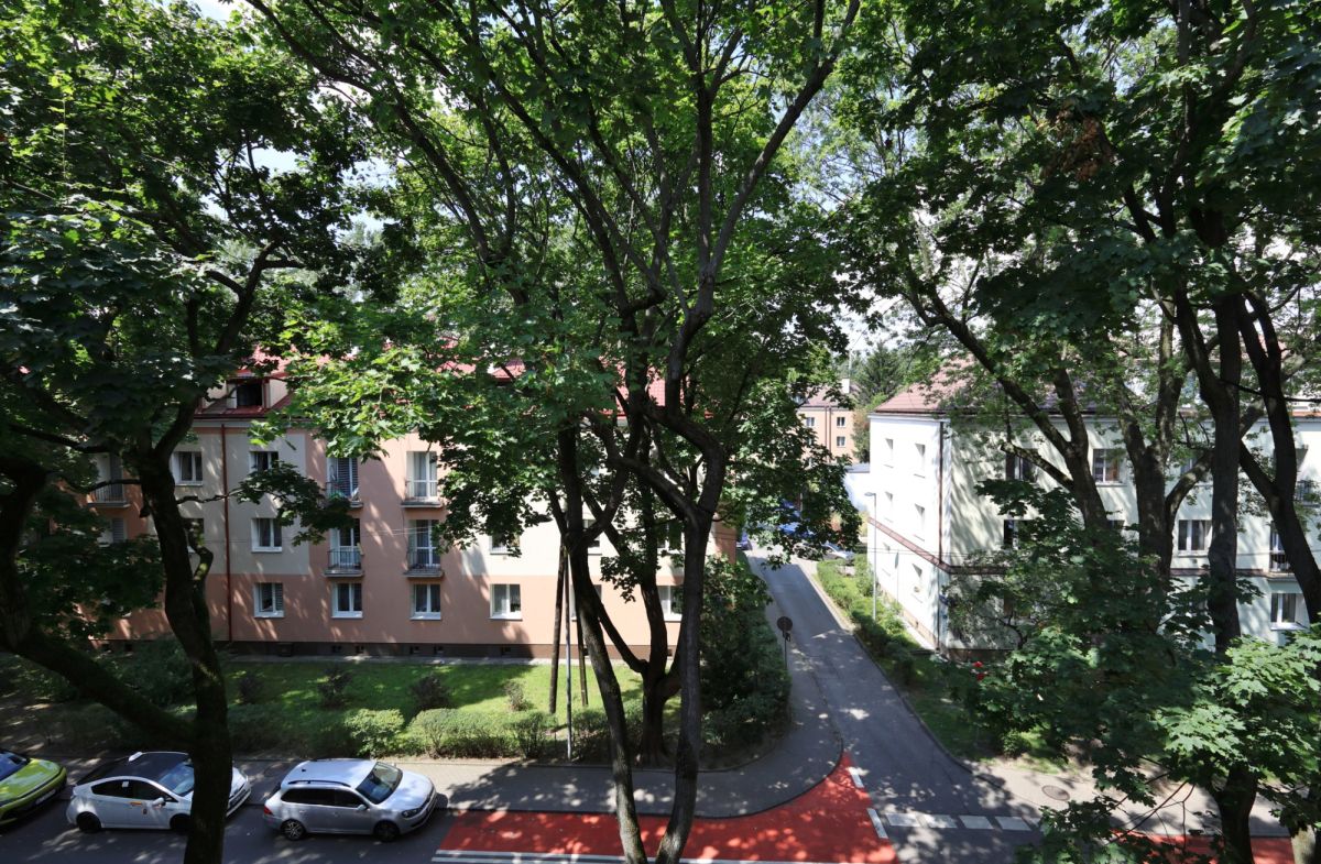 Mieszkanie na wynajem