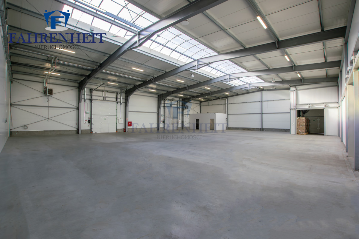 Komercyjny na wynajem