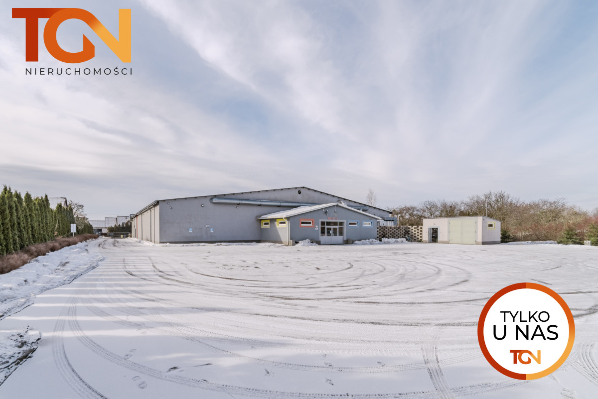 Komercyjny na sprzedaż