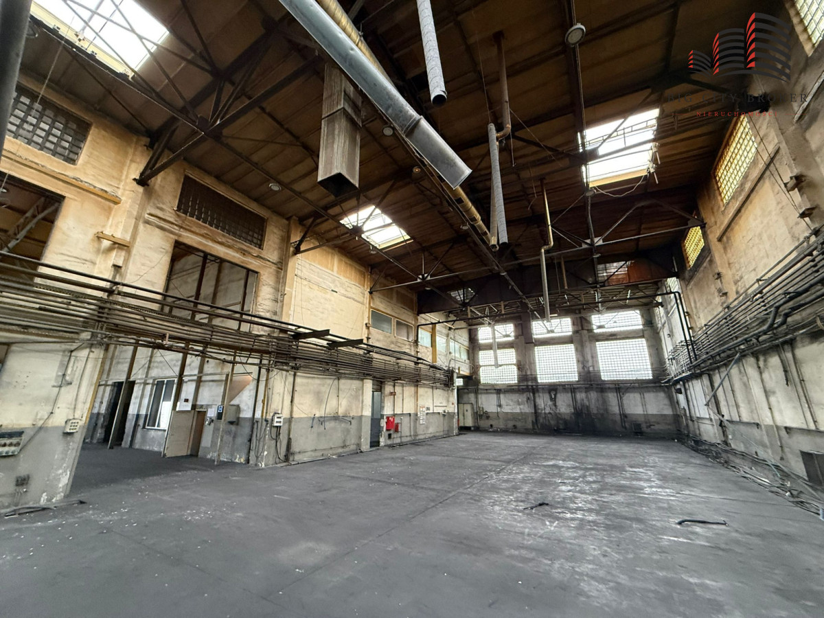 Komercyjny na sprzedaż