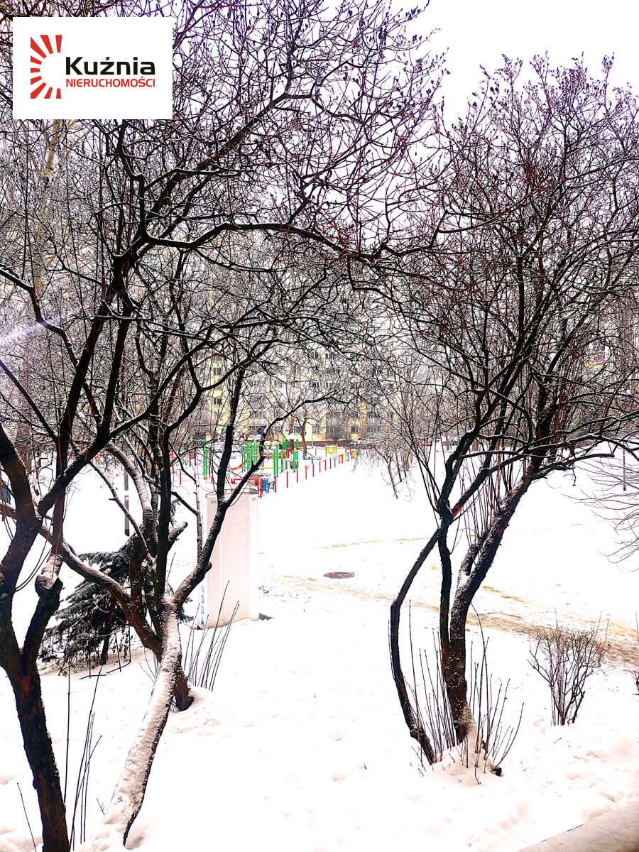 Mieszkanie na wynajem