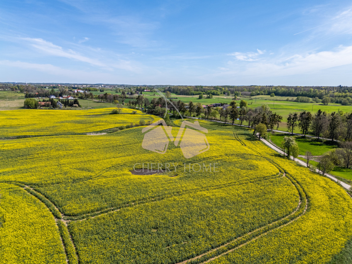 OKAZJA | Oryginalny DOM ze STAWEM | Duża DZIAŁKA