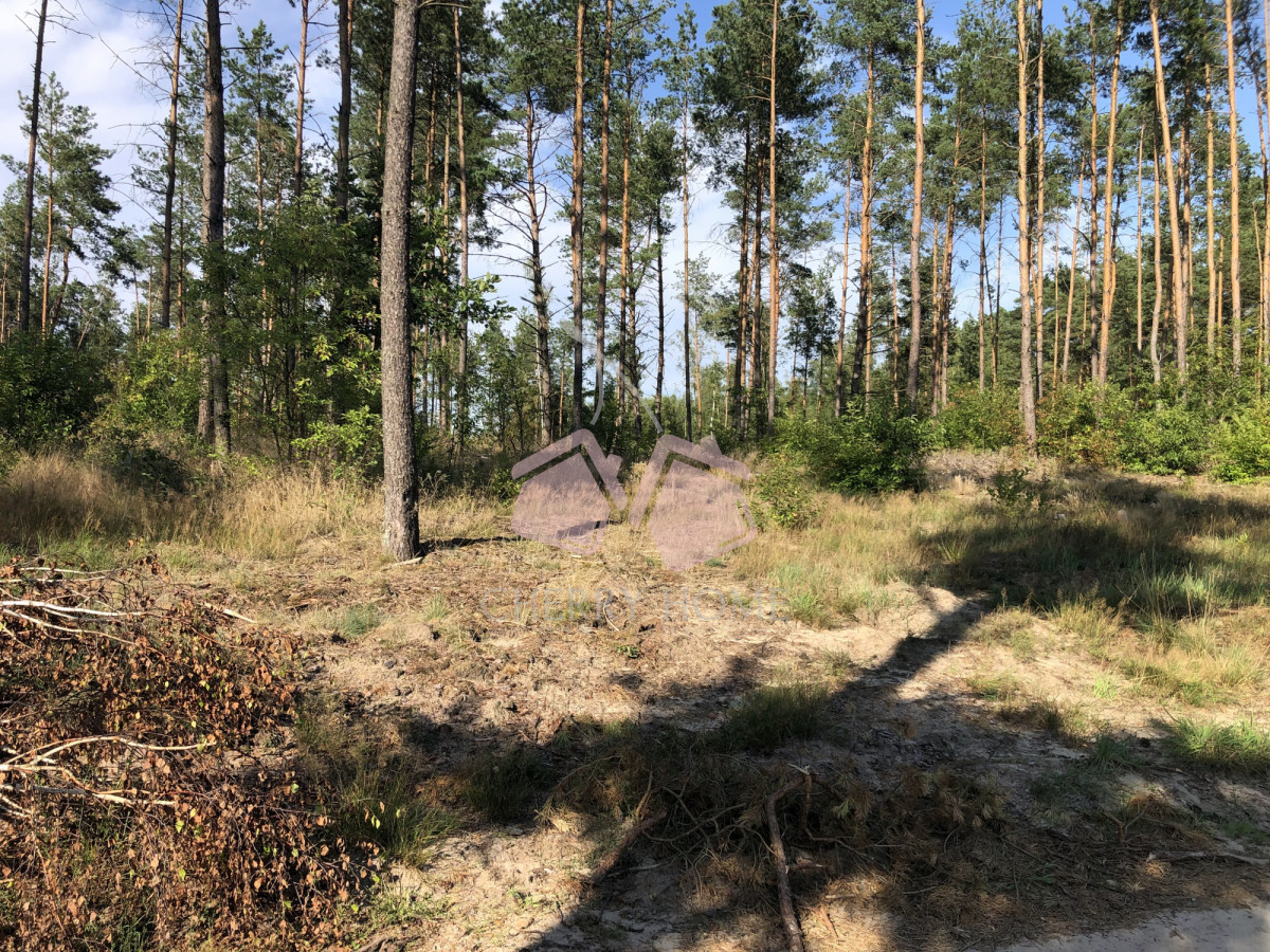 Działka w lesie z pozwoleniem na budowę