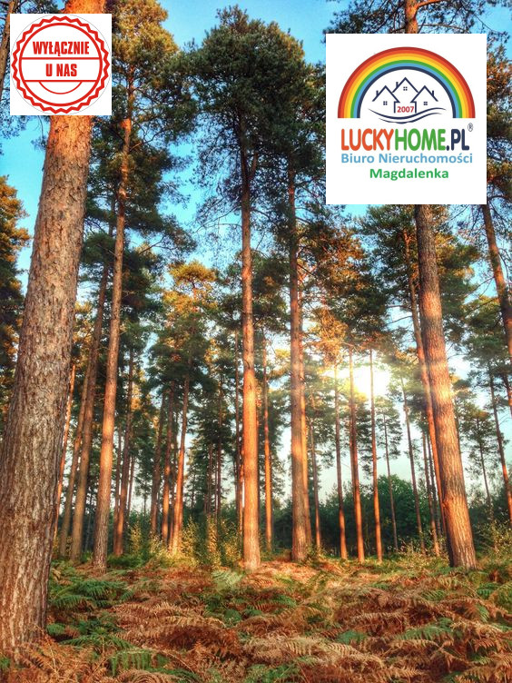 Działka na sprzedaż