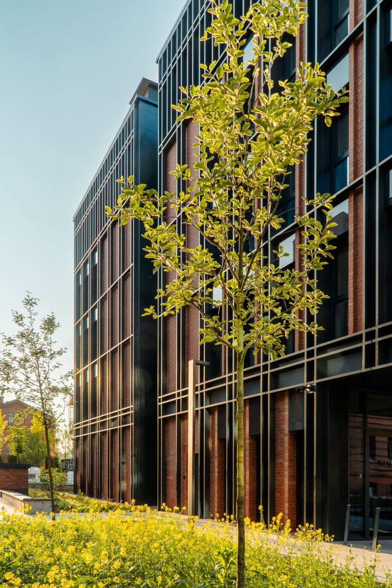 Homest - Nowoczesny lokal w Śródmieściu!