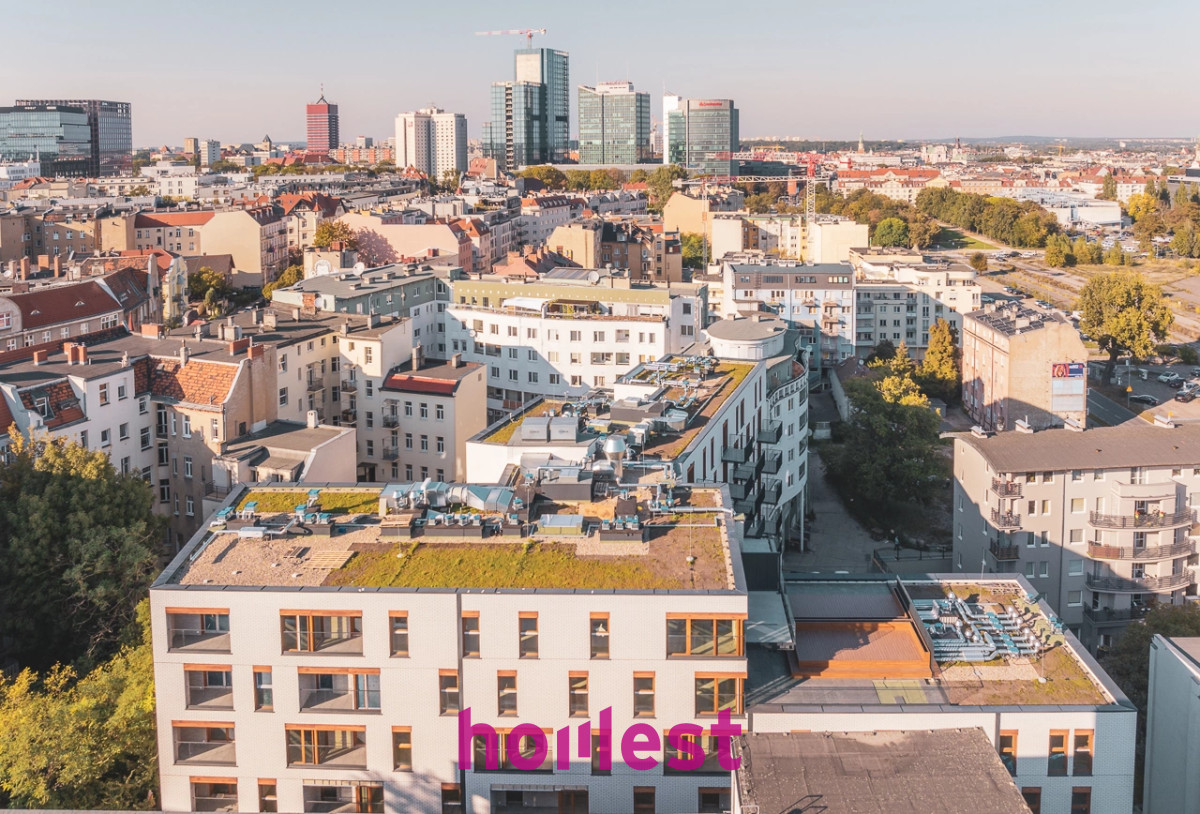 Homest - Lokal w Wildzie blisko centrum