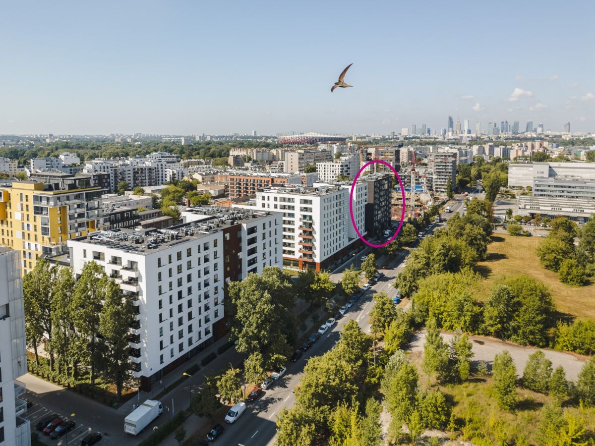 Homest - Lokal użytkowy – bezpośrednio od Wynajmującego