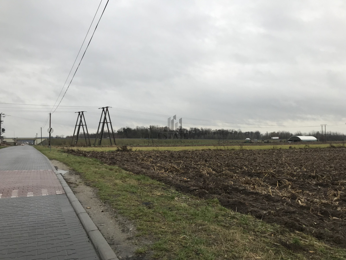 Zdjęcie 5
