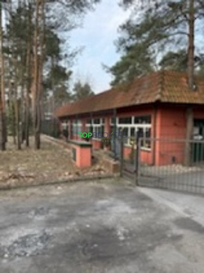 Komercyjny na wynajem