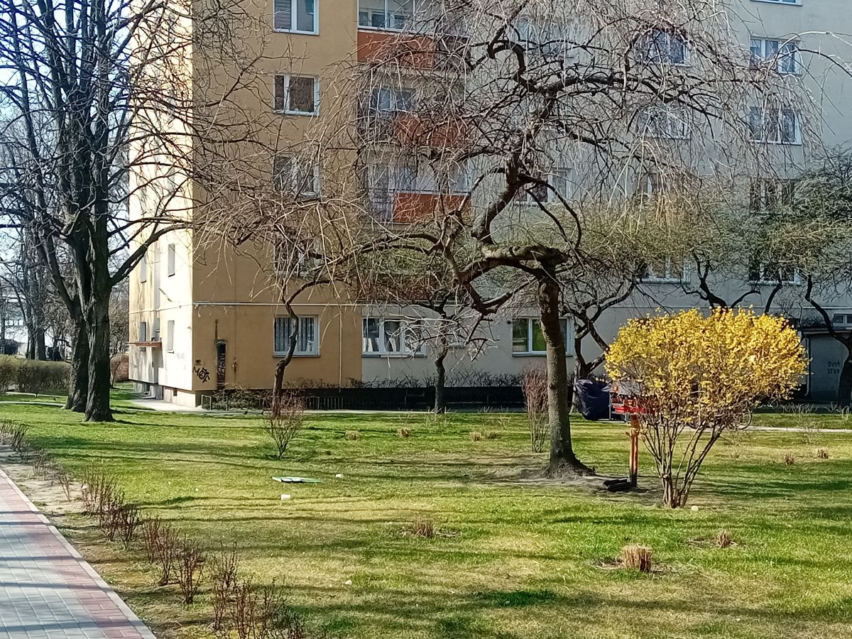 Mieszkanie na sprzedaż
