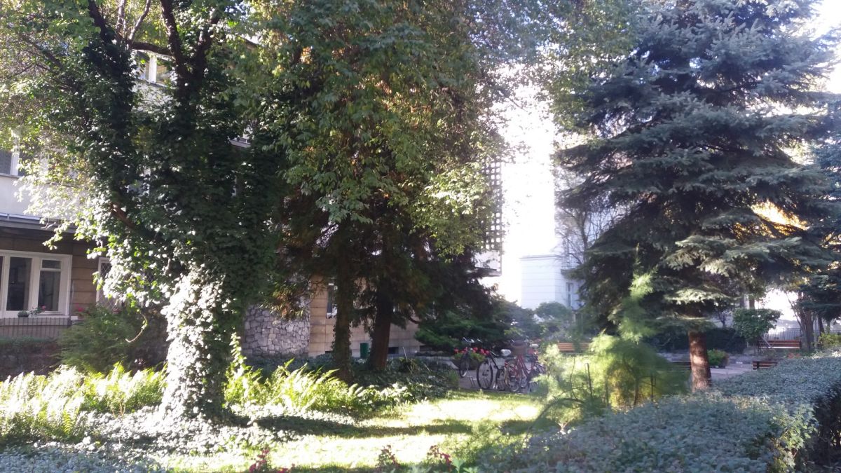 Mieszkanie na wynajem
