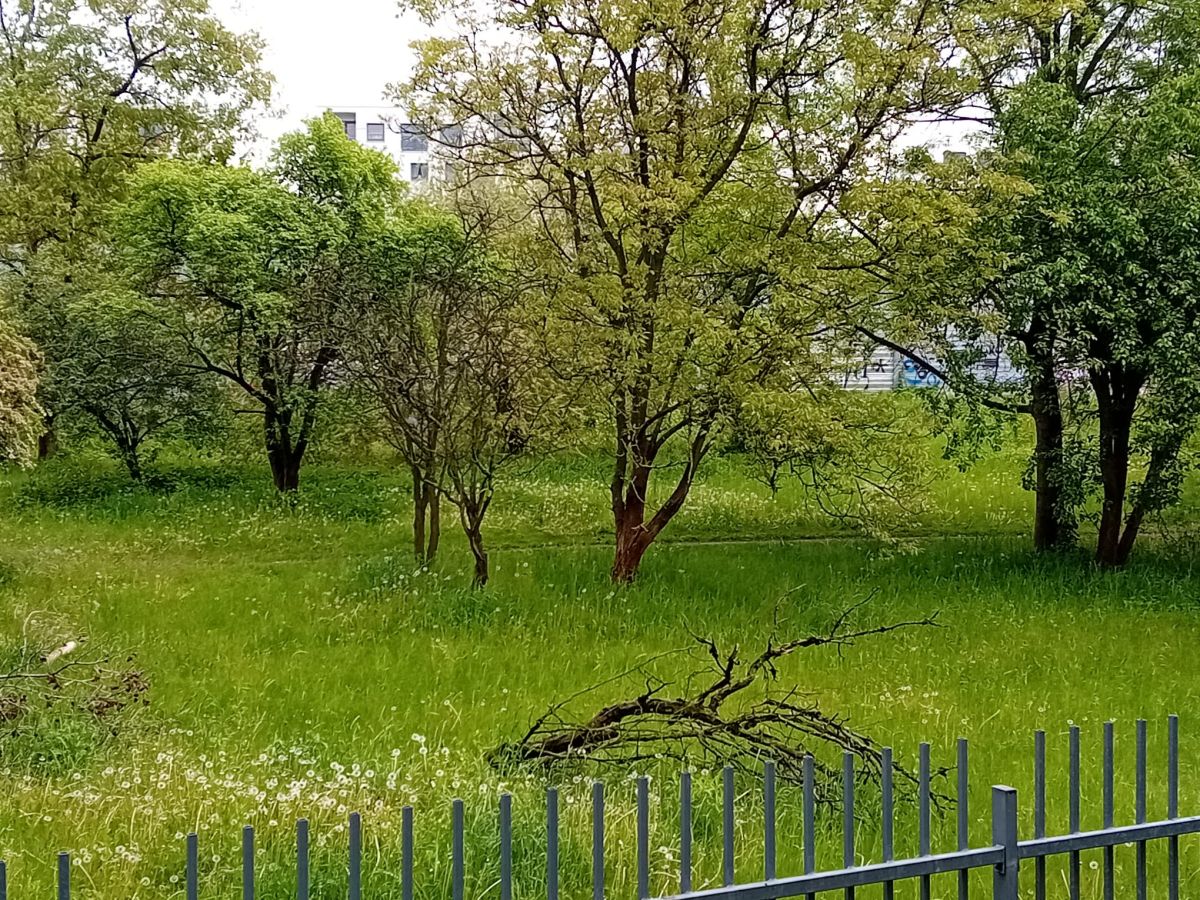 Mieszkanie na wynajem