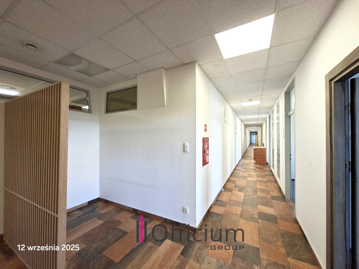 Komercyjny na wynajem