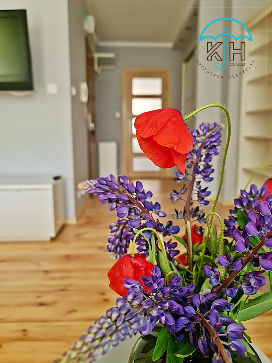 Mieszkanie na wynajem