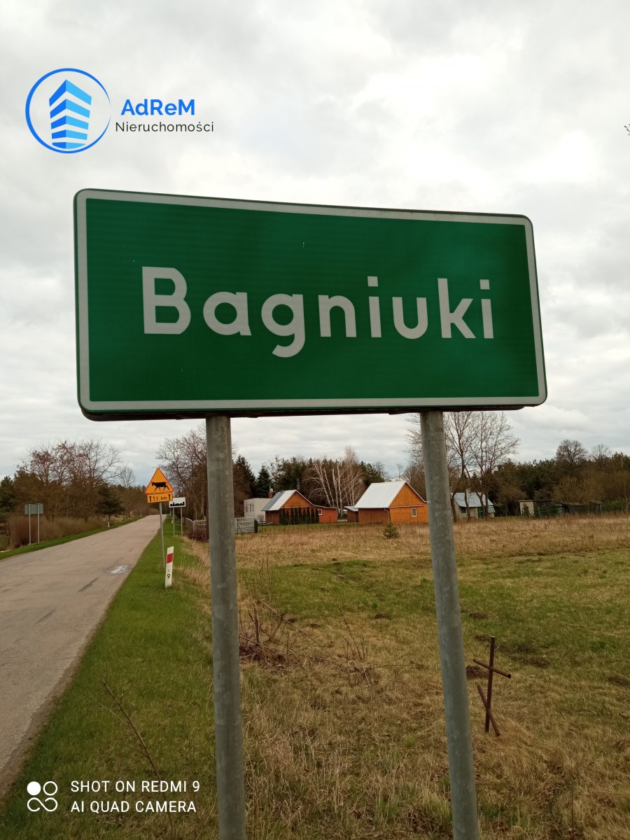 Bagniuki