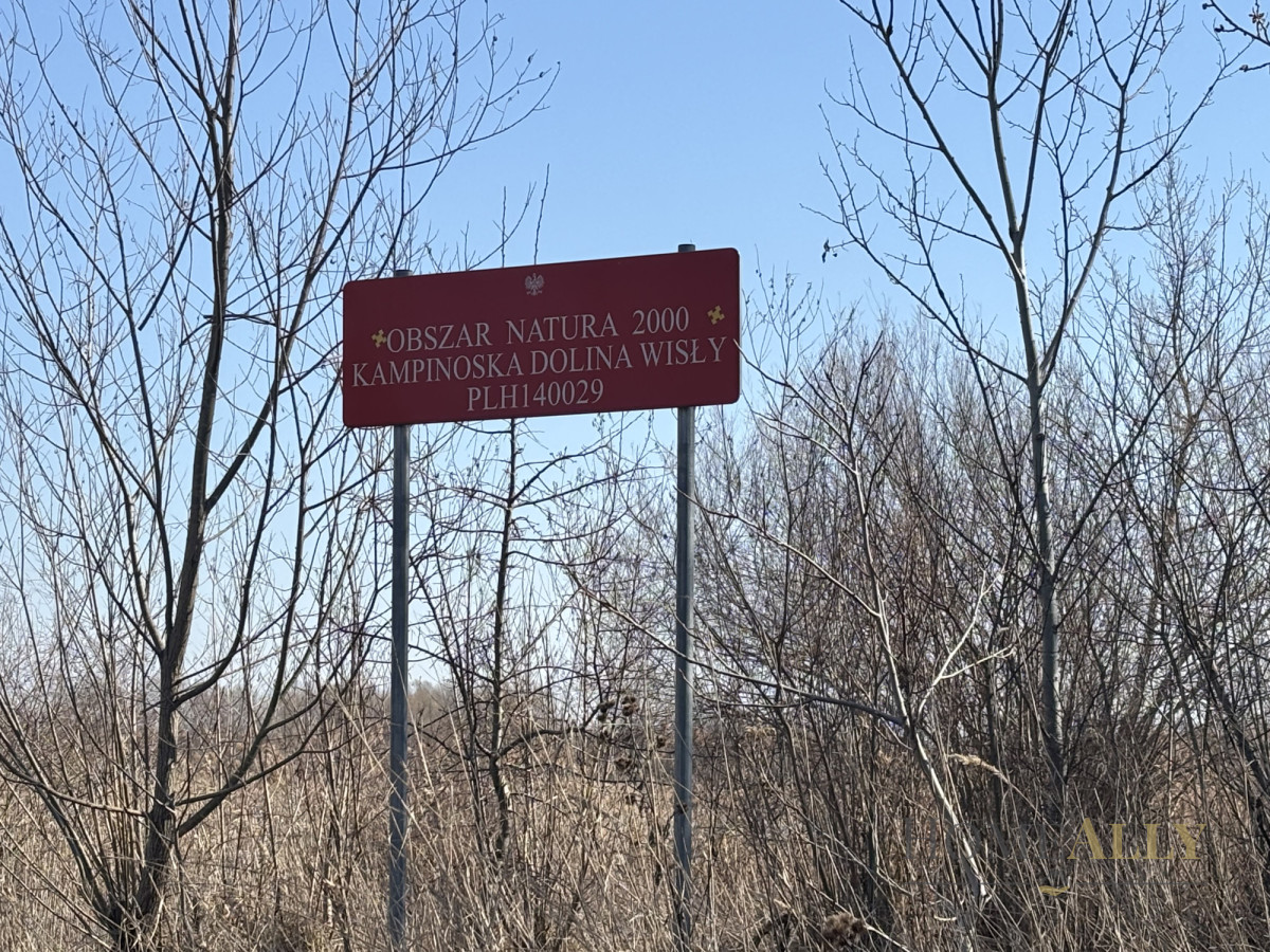Dom na sprzedaż