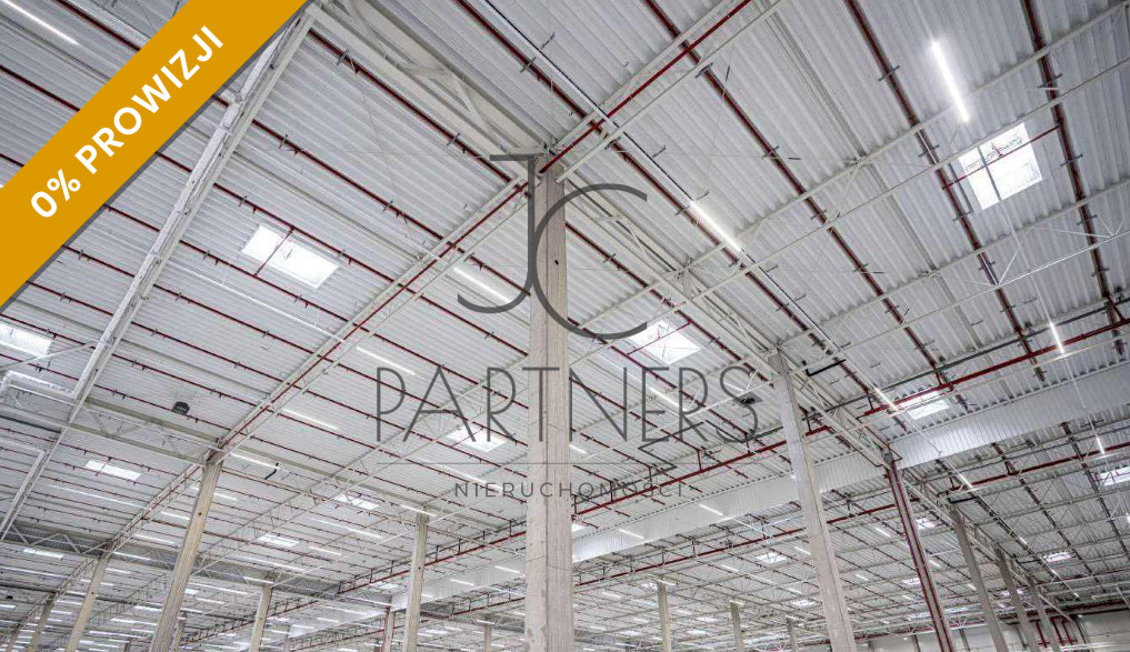 Komercyjny na wynajem