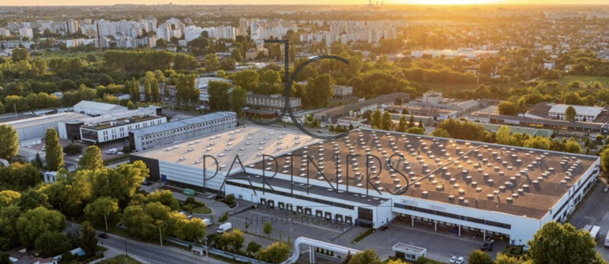 Komercyjny na wynajem