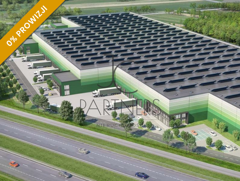 Komercyjny na wynajem