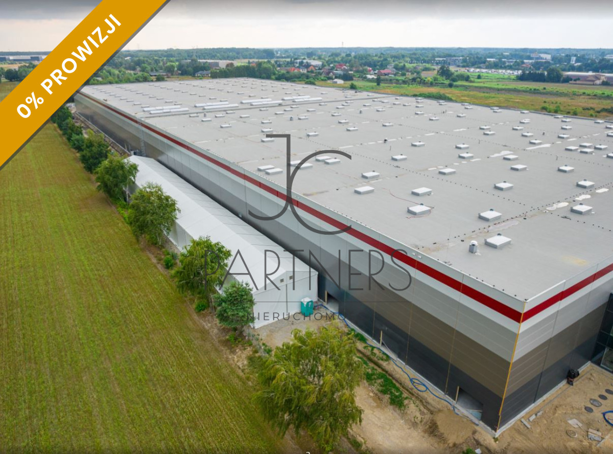 Komercyjny na wynajem