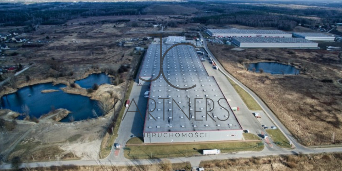 Komercyjny na wynajem