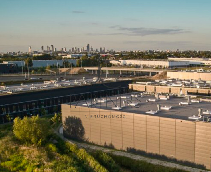 Komercyjny na wynajem