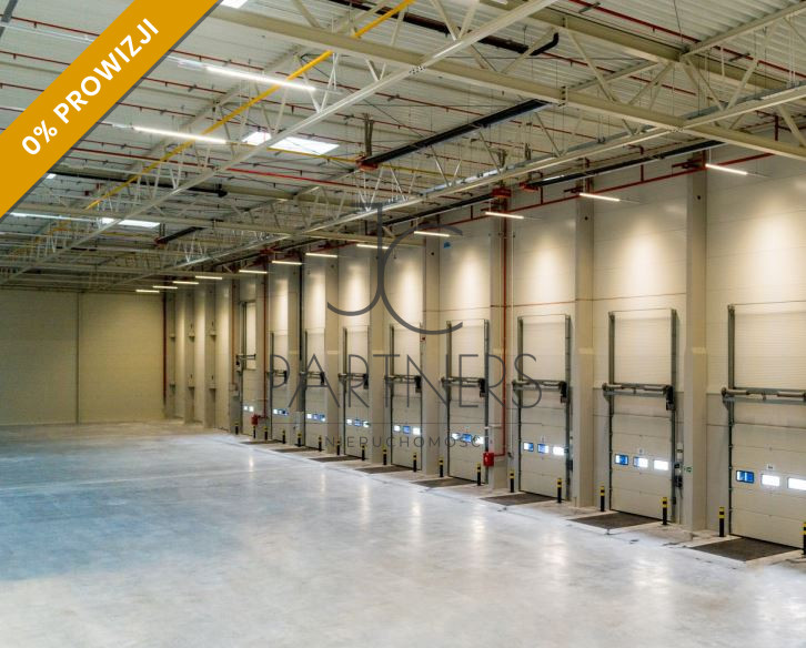 Komercyjny na wynajem