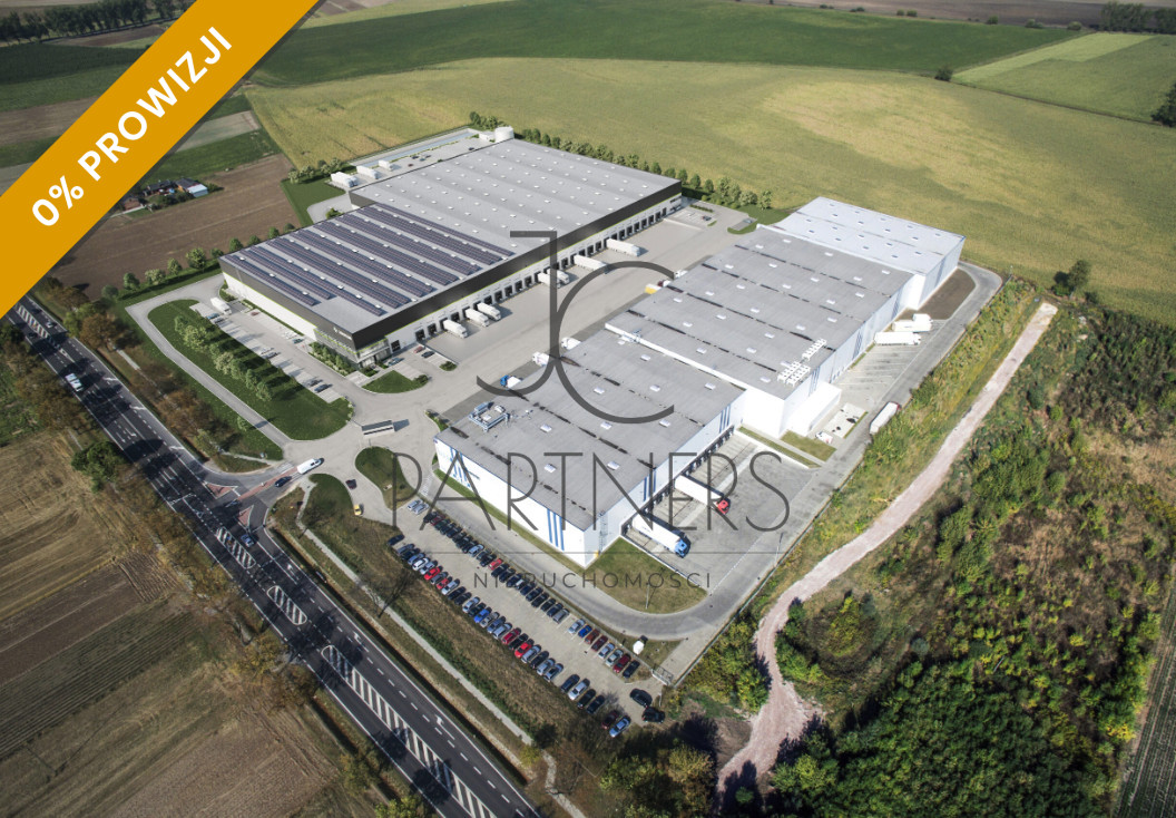 Komercyjny na wynajem