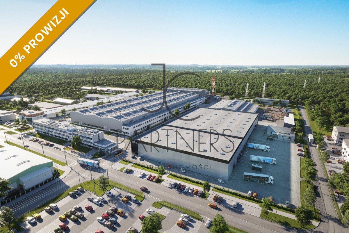 Komercyjny na wynajem