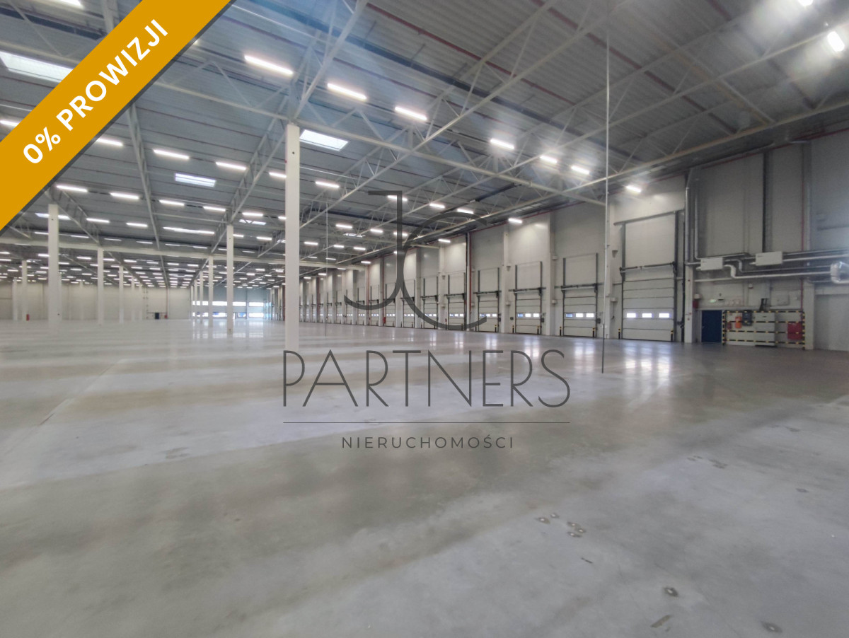 Komercyjny na wynajem