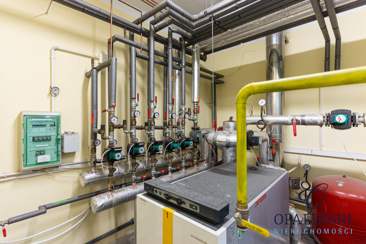 Komercyjny na wynajem