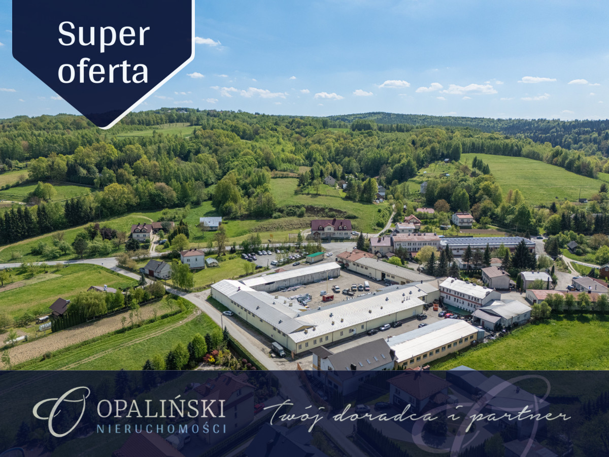 Komercyjny na wynajem