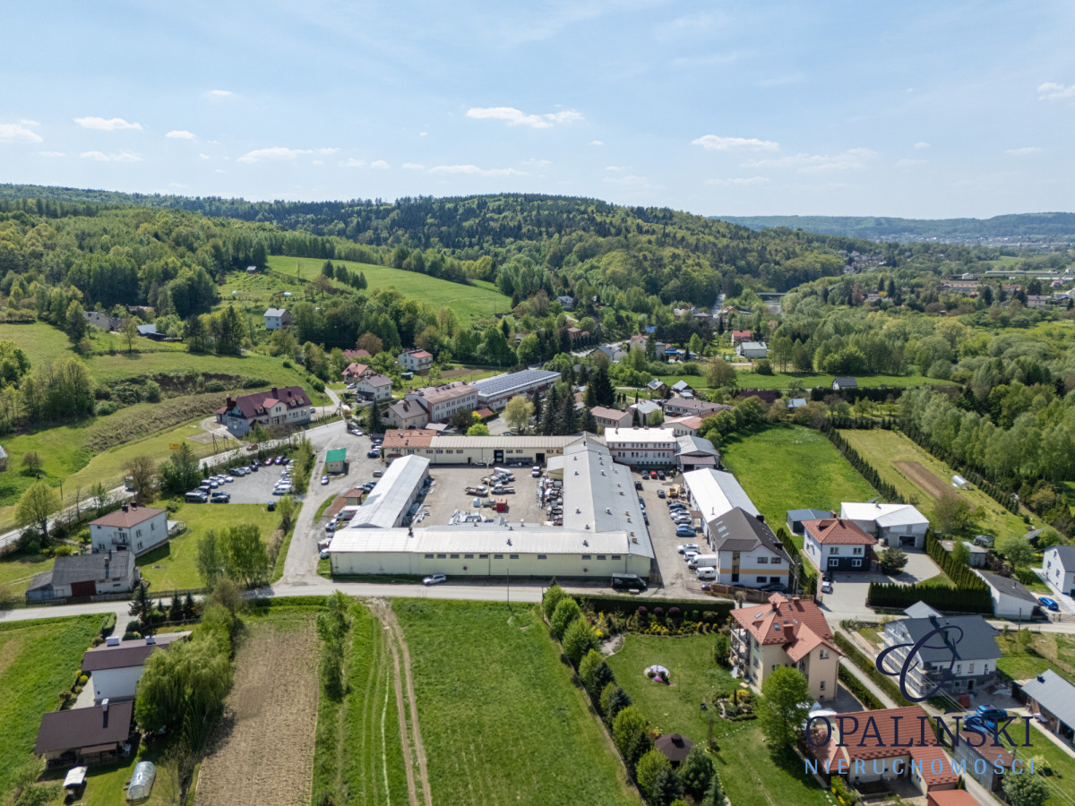 Komercyjny na wynajem