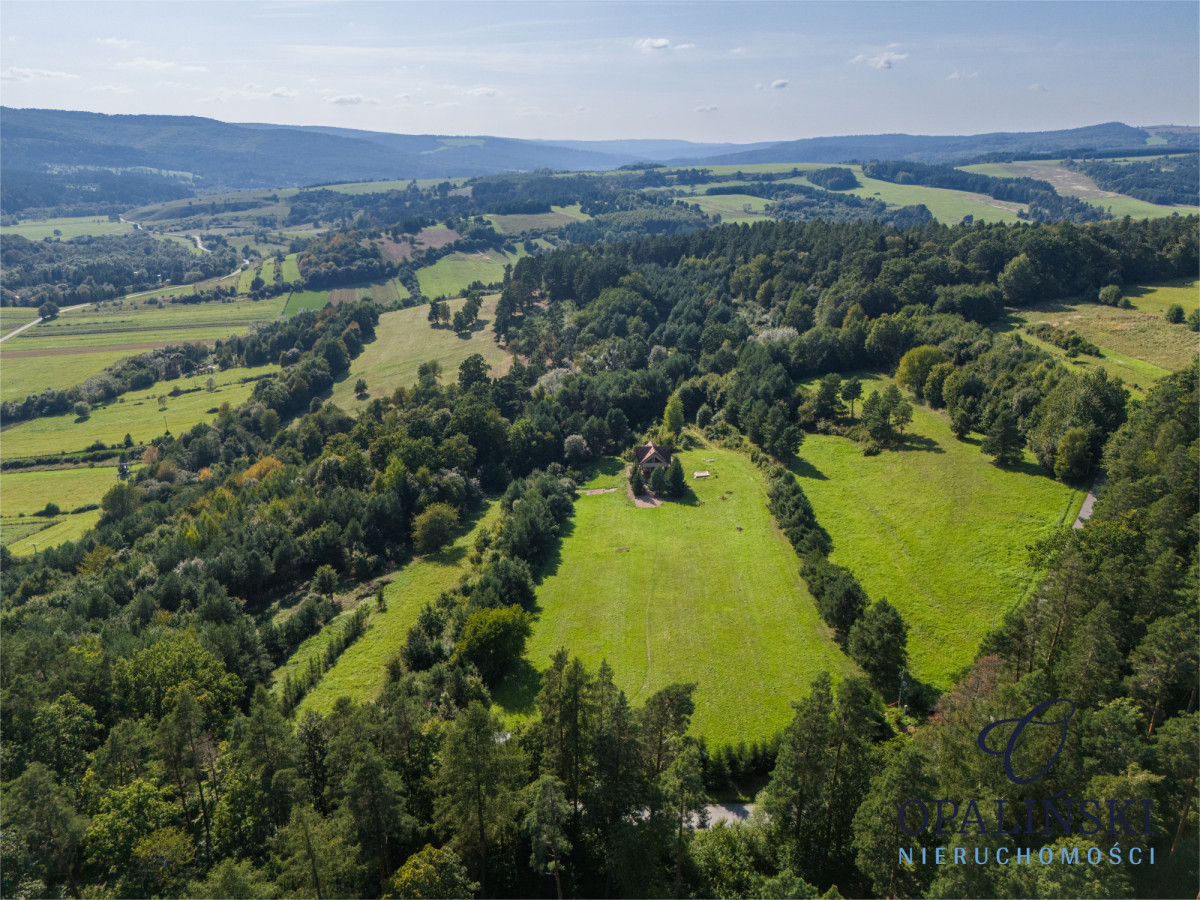 Dom na sprzedaż