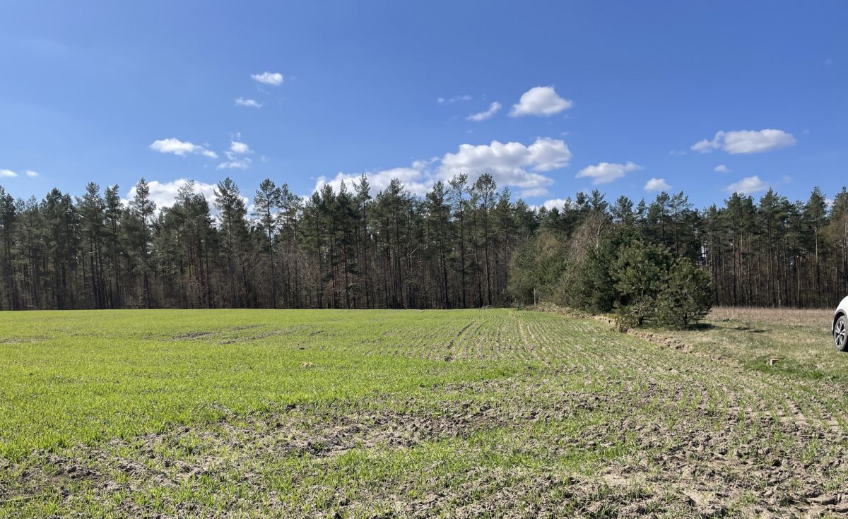 Działka na sprzedaż