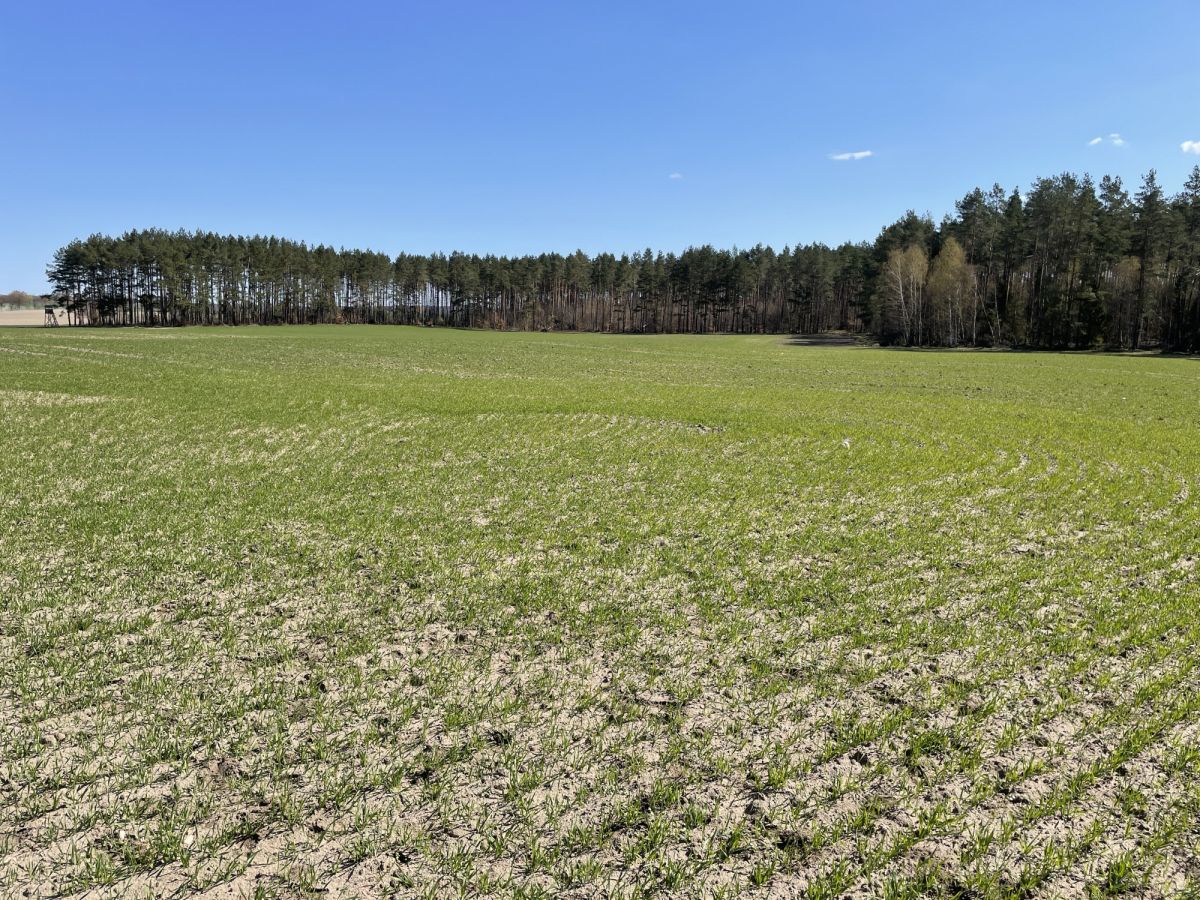 Działka na sprzedaż