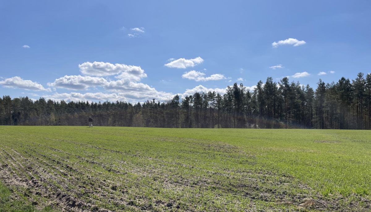 Działka na sprzedaż