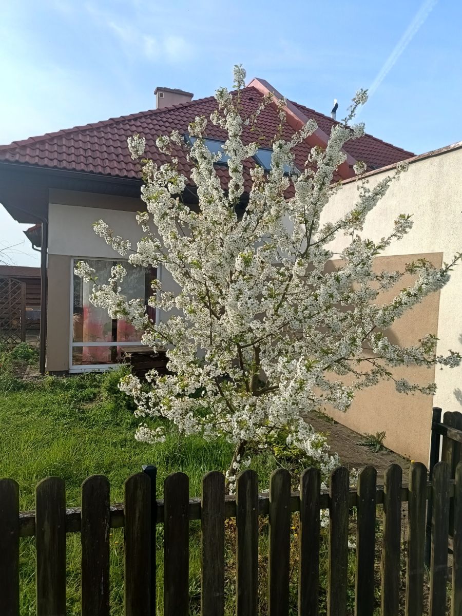 Dom na sprzedaż