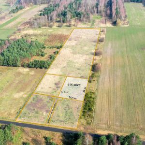 Działki na sprzedaż w Dąbrowie Zielonej!