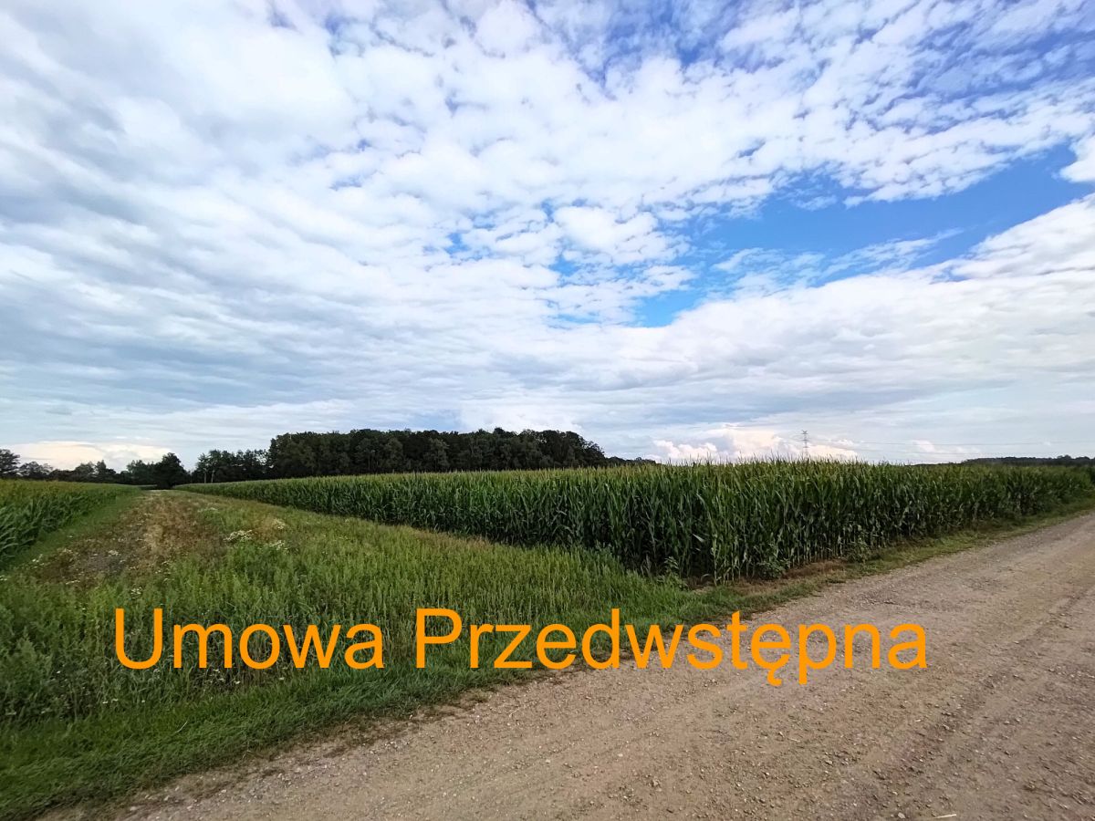 Działka na sprzedaż
