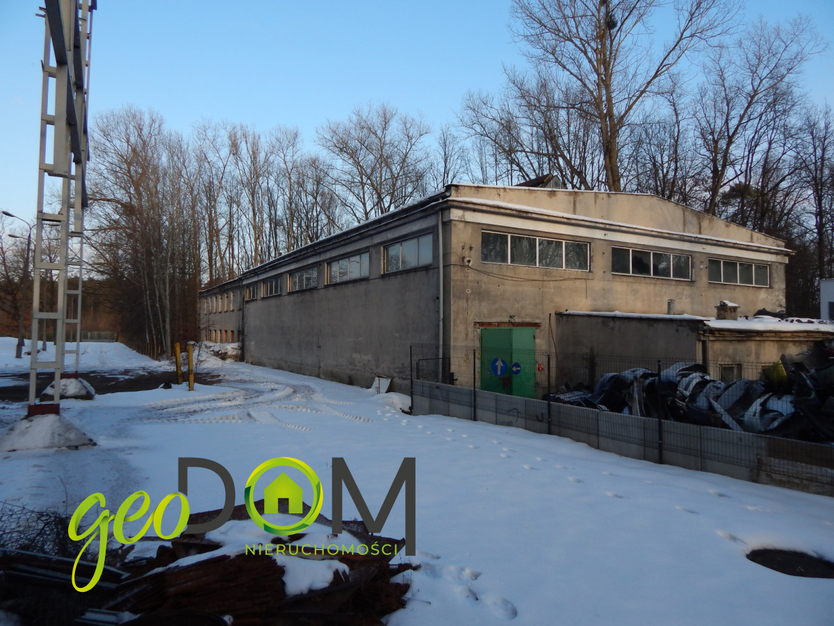 Komercyjny na sprzedaż