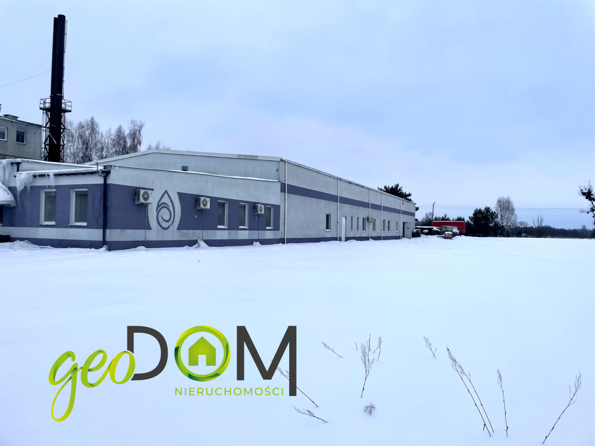 Komercyjny na sprzedaż