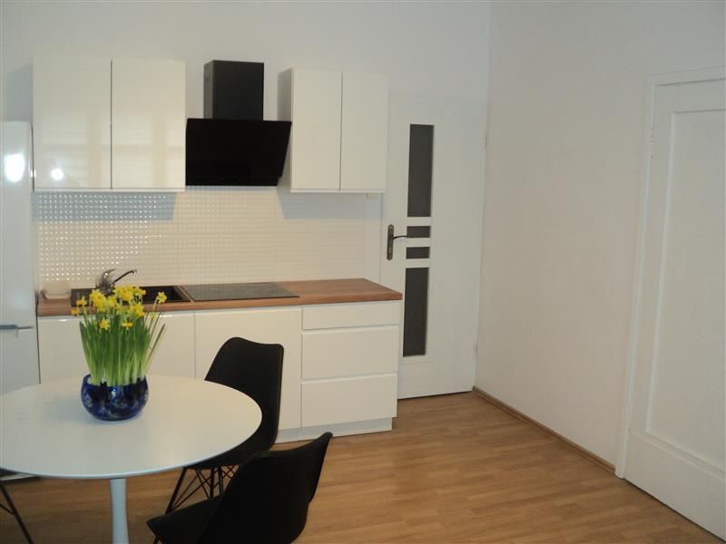 Mieszkanie na wynajem